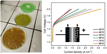 Graphical abstract: Amorphous nanostructured Ni–Fe oxide as a notably active and low-cost oxygen evolution reaction electrocatalyst for anion exchange membrane water electrolysis