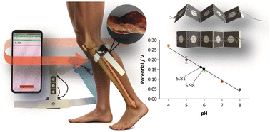 Graphical abstract: Embroidered paper-based electrochemical wearable device for pH monitoring in wounds