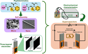 Graphical abstract: Self-assembled α/β-dipeptides as dielectrics to improve the behavior of multilayered conducting polymer pseudocapacitors