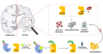 Graphical abstract: Leveraging targeted kinase degradation as a novel therapeutic strategy for Alzheimer's disease