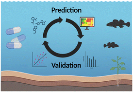 Graphical abstract: From lab to environment: forecasting pharmaceutical impact using in silico and analytical tools