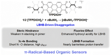 Graphical abstract: Unveiling the sensing mechanism at the molecular level: a DFT study on the disaggregation of perylene diimide radical anion pimers