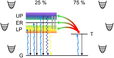 Graphical abstract: Impact of light–matter coupling strength on the efficiency of microcavity OLEDs: a unified quantum master equation approach