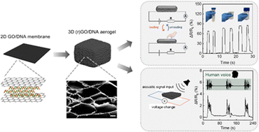 Graphical abstract: Graphene oxide/DNA-aerogel pressure and acoustic sensor