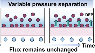 Graphical abstract: Piezoelectric PVDF membranes for emulsion separation with constant flux and high efficiency