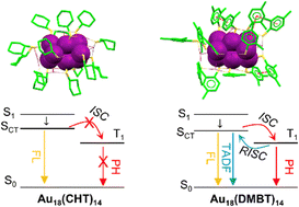 Graphical abstract: Surface ligand networking promotes intersystem crossing in the Au18(SR)14 nanocluster