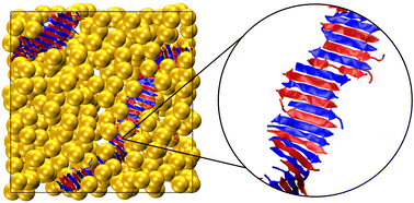 Graphical abstract: Modulating peptide co-assembly via macromolecular crowding: Recipes for co-assembled structures