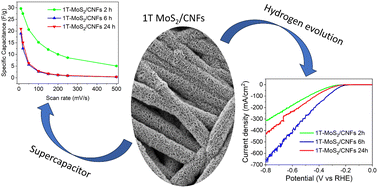 Graphical abstract: In situ growth of layered 1T-MoS2 onto carbon nanofibers as a strategy towards advanced hybrid materials for electrochemical energy storage and catalysis