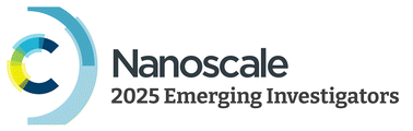 Graphical abstract: Nanoscale profiles: contributors to the 2025 Emerging Investigators collection