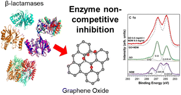 Graphical abstract: Enzyme graphene oxide interaction: the case system of β-lactamases