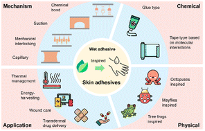 Graphical abstract: Role of chemistry in nature-inspired skin adhesives