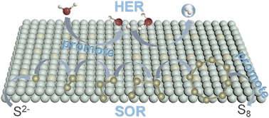 Graphical abstract: Modulation of the electronic structure of nickel selenide via iron doping for energy-saving hydrogen production coupled with sulfion upgradation