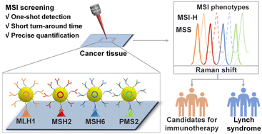 Graphical abstract: Detecting microsatellite instability in cancer via multiplexed orthogonal gap-enhanced Raman tags
