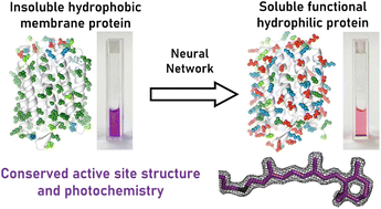 Graphical abstract: Engineering of soluble bacteriorhodopsin