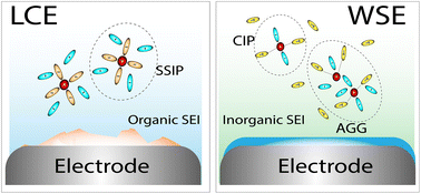 Graphical abstract: Weakly solvating electrolytes: a solvation-centric paradigm for rechargeable metal batteries