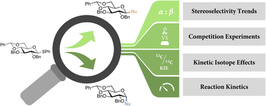 Graphical abstract: How electronic and steric effects in acceptor alcohols shape SN1- and SN2-type glycosylation reactions