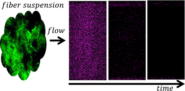 Graphical abstract: Microfiber suspensions for the removal of adhered colloids from surfaces, microdevices, and cavities