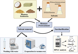 Graphical abstract: Comparison between two different approaches for the deconstruction of lignocellulosic feedstocks using alkanolamine-based solvents