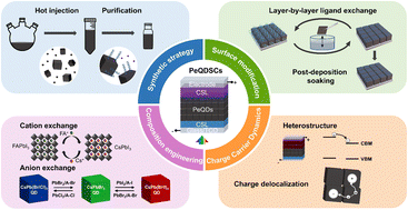 Graphical abstract: Advancing the synthesis strategy and interface modification for efficient perovskite quantum dot solar cells