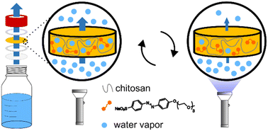 Graphical abstract: Impact of chitosan's degree of deacetylation, molecular weight, and crystallinity on the photoresponsive properties of azobenzene-modified films and membranes