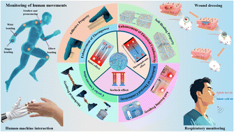 Graphical abstract: Advancements in thermoelectric hydrogels: structural design and material innovation for biomedical and wearable applications