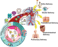 Graphical abstract: Recent progress in ZIF–polymer composites for advanced drug delivery applications