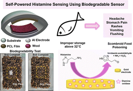 Graphical abstract: Detection of biogenic amine histamine using a triboelectric nanogenerator integrated biodegradable sensor