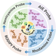 Graphical abstract: Recent advances in organic molecule fluorescent probes for microbial imaging