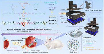Graphical abstract: A biocompatible, eco-friendly 3D-printed PCL-NIPUA resin for macular bucking devices in myopic tractional maculopathy