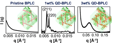 Graphical abstract: Nanoparticle self-assembly and domain growth kinetics in BPI: a synchrotron ultra-small angle X-ray scattering study