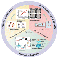 Graphical abstract: Coupling shear-thickening and dynamic bonds in self-healing materials: synthesis, regulation and application