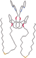 Graphical abstract: Self-assembling, patterning and SPR imaging of a 1,3 alternate bis(dipyridyl)calix[4]arene derivative–Cu2+ complex immobilized on to Au(111) surfaces