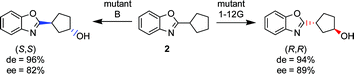 Graphical abstract: Stereoselective hydroxylation of an achiral cyclopentanecarboxylic acid derivative using engineered P450s BM-3