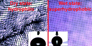Graphical abstract: Controlled switching of the wetting behavior of biomimetic surfaces with hydrogel-supported nanostructures