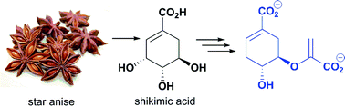 Graphical abstract: Synthesis and evaluation of 2,5-dihydrochorismate analogues as inhibitors of the chorismate-utilising enzymes