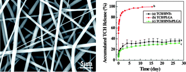 Graphical abstract: Electrospun poly(lactic-co-glycolic acid)/halloysite nanotube composite nanofibers for drug encapsulation and sustained release