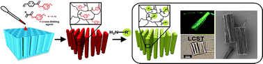 Graphical abstract: Reactive nanorods based on activated ester polymers: a versatile template-assisted approach for the fabrication of functional nanorods