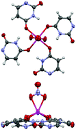 Graphical abstract: RNAs' uracil quartet model with a non-essential metal ion