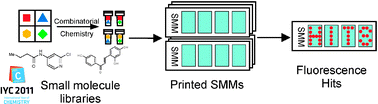 Graphical abstract: Small molecule microarrays: the first decade and beyond