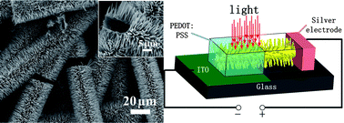 Graphical abstract: Visible-light photoresponse in a hollow microtube–nanowire structure made of carbon-doped ZnO