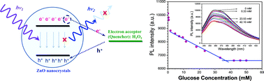 Graphical abstract: Enzyme-conjugated ZnO nanocrystals for collisional quenching-based glucose sensing
