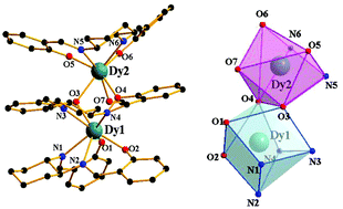 Graphical abstract: Slow relaxation processes of salen type Dy2 complex and 1D ionic spiral Dyn coordination polymer