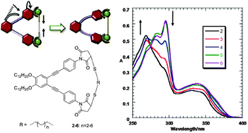 Graphical abstract: Measuring the distance between two mercapto groups with an optical molecular ruler on the nanometer scale