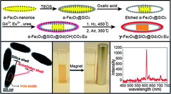 Graphical abstract: Magnetic and optical properties of multifunctional core–shell radioluminescence nanoparticles