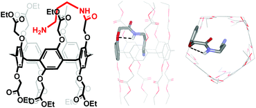 Graphical abstract: Pillar[5]arenes with an introverted amino group: a hydrogen bonding tuning effect