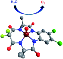 Graphical abstract: Quantum chemical characterization of the mechanism of an iron-based water oxidation catalyst