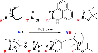 Graphical abstract: Selection of boron reagents for Suzuki–Miyaura coupling