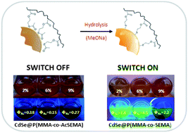 Graphical abstract: Acetyl protected thiol methacrylic polymers as effective ligands to keep quantum dots in luminescent standby mode