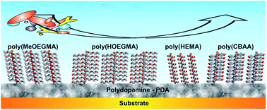Graphical abstract: Biomimetic non-fouling surfaces: extending the concepts