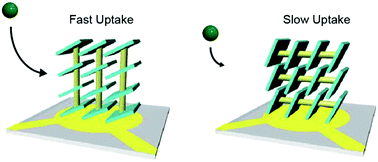 Graphical abstract: Impact of crystal orientation on the adsorption kinetics of a porous coordination polymer–quartz crystal microbalance hybrid sensor